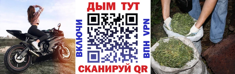где можно купить   Тимашёвск  Бошки марихуана план 